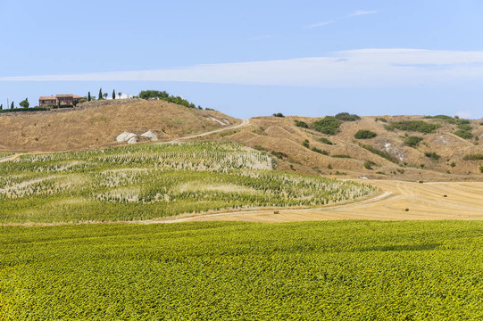 Val d Orcia（托斯卡納）景觀