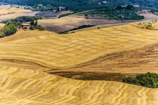 Val d Orcia（托斯卡納）景觀(guān)