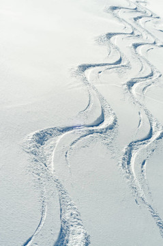 雪中的兩個滑雪痕跡