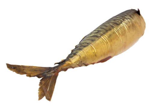 煙熏鯖魚在白色背景
