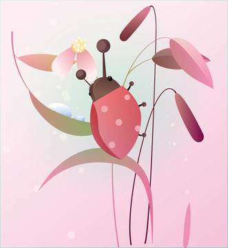 花上的瓢蟲