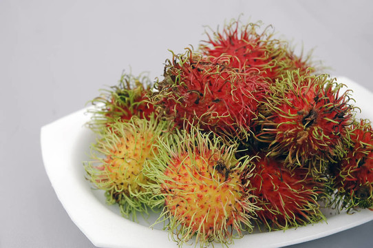 紅毛丹
