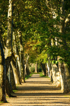 路