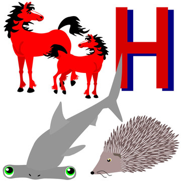 H馬；錘頭；刺猬