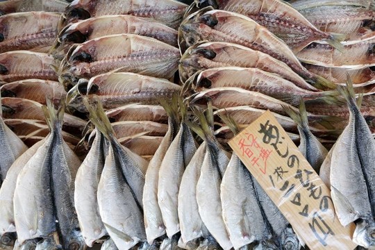 魚市場