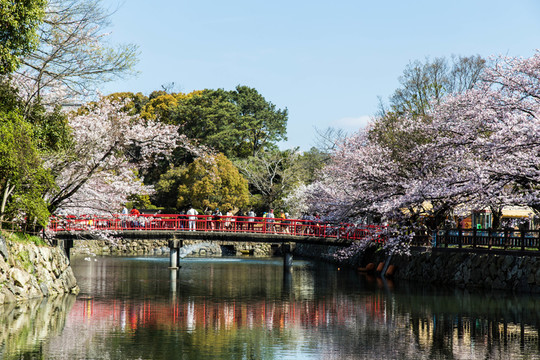 日本園林