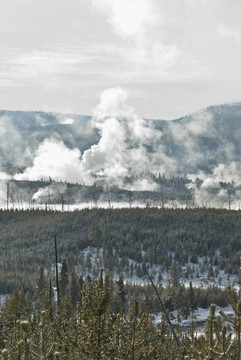 Norris Geyser Basin；冬季；黃石公園