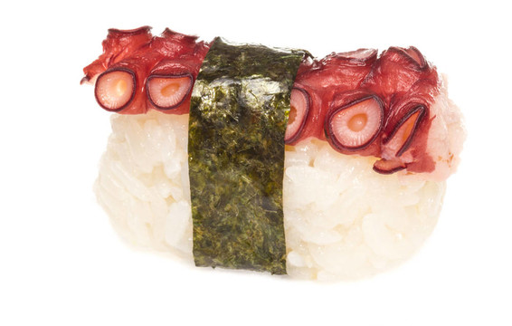 日本壽司與肉章魚在白色背景