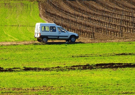 綠色田野上的白色汽車