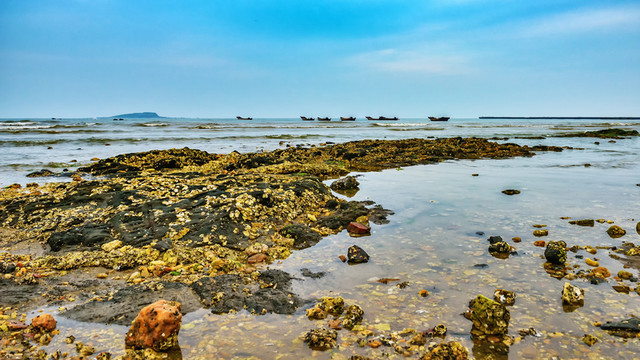 海岸