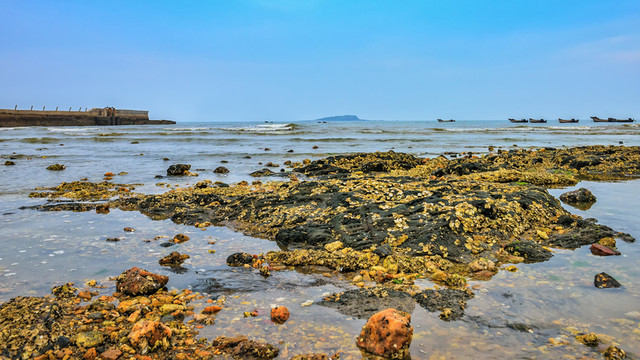 海岸