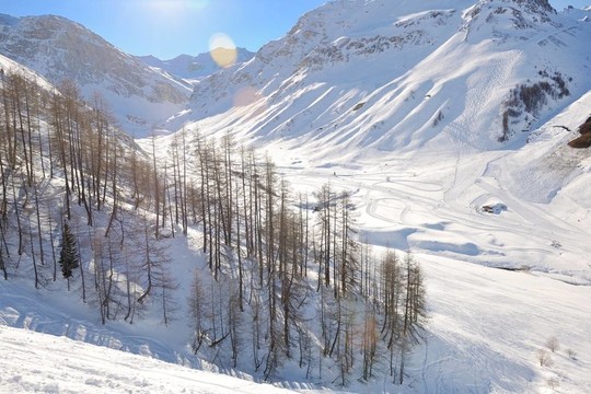冬下高山