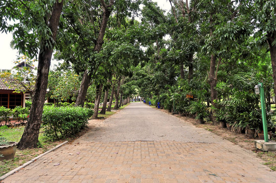 公園路