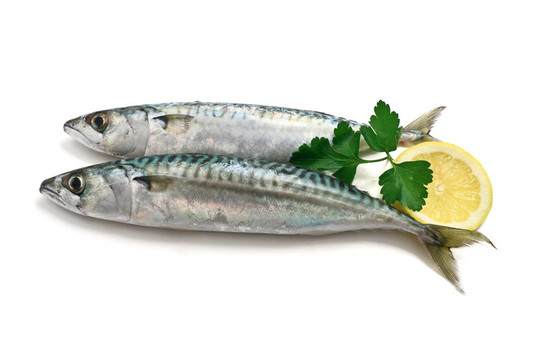 兩鯖魚檸檬