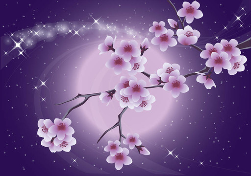 櫻花和月亮；彈簧卡