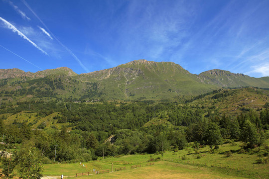 阿爾卑斯山的田野和草地。
