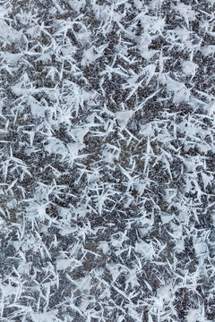 冰冷的雪花