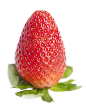 Strawberry。