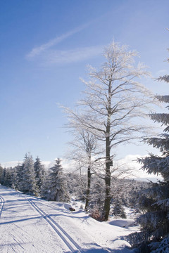 山上的雪