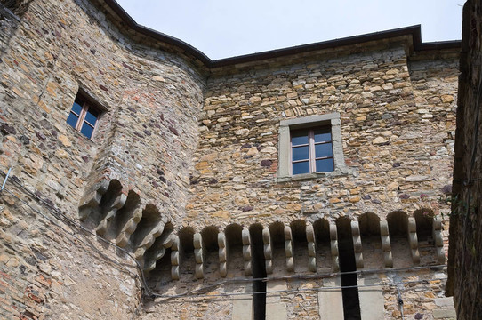 巴迪城堡。Emilia Romagna。意大利.