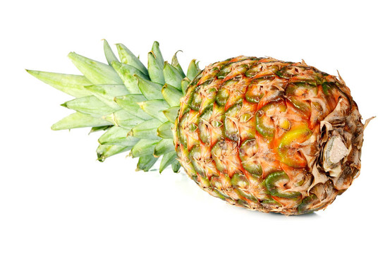 菠蘿