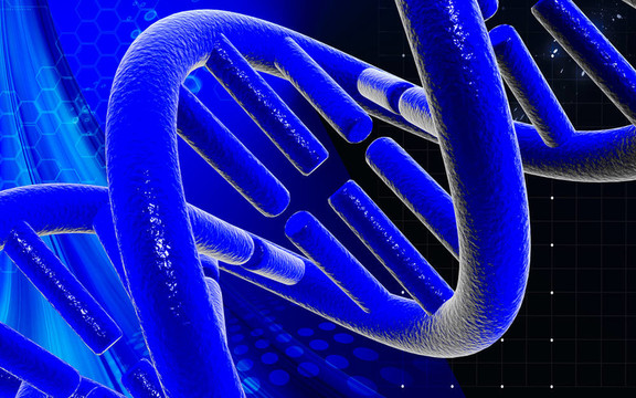 DNA
