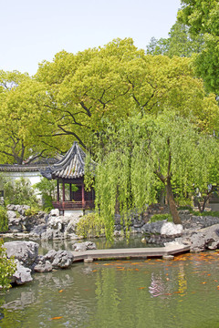 亞洲花園