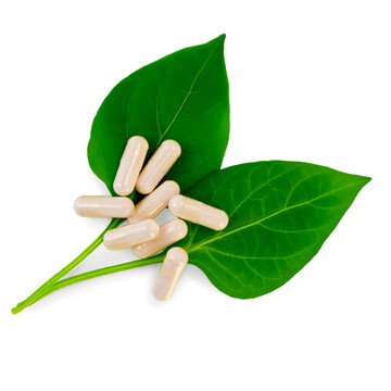 兩個(gè)綠葉膠囊米色