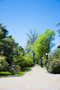 公園的植物園