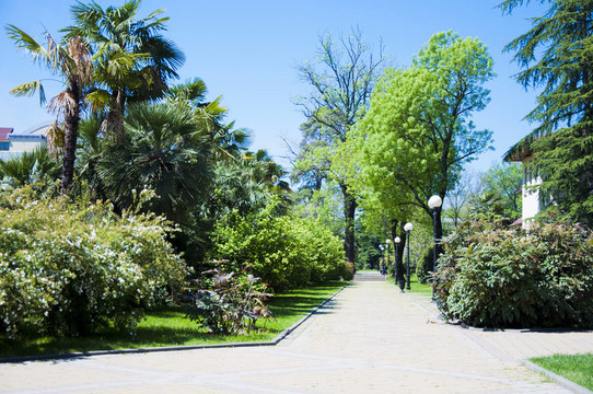公園的植物園