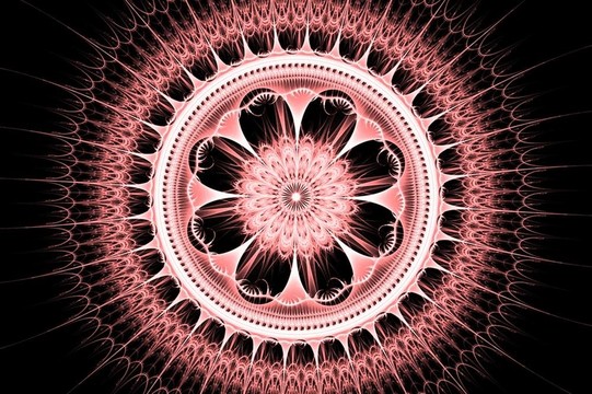 粉紅色的花