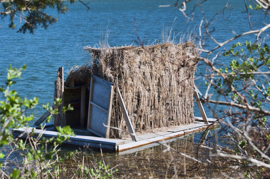 Duck Blind 0007