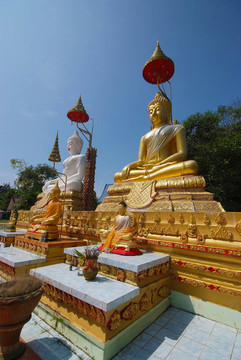白色和Golden Buddha雕像