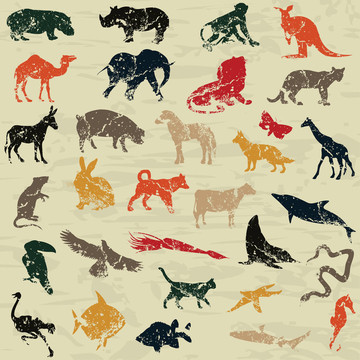 animal2