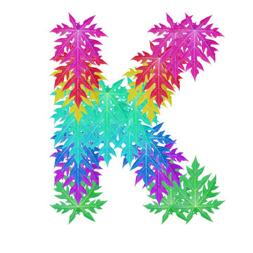 字母字符。