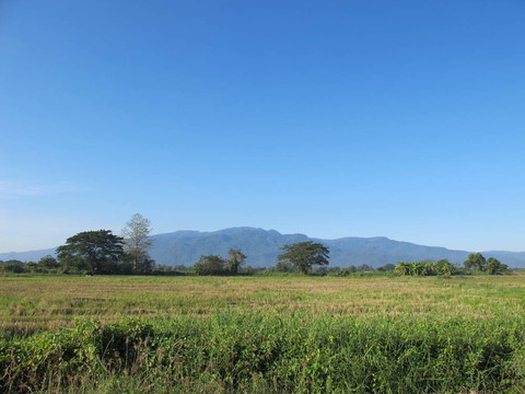 山；田野；藍天