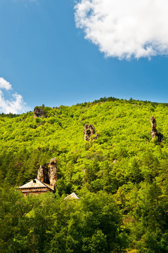 城堡在阿爾卑斯山