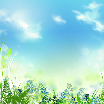 夏天的草地