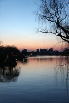 大明湖夜景