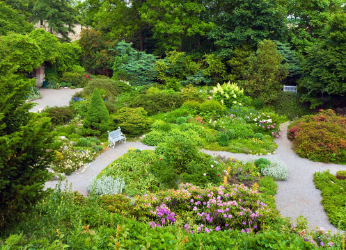 公園里五顏六色的花
