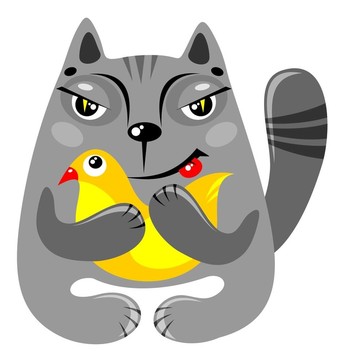 貓和鳥