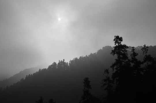 山林