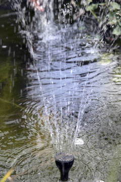 池塘的水噴頭