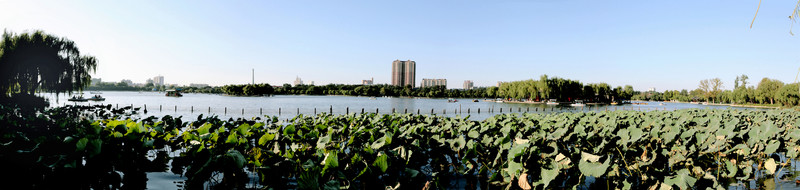 濟南大明湖風光
