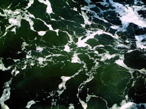 大海的泡沫
