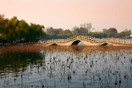 大明湖石橋