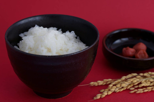 米飯