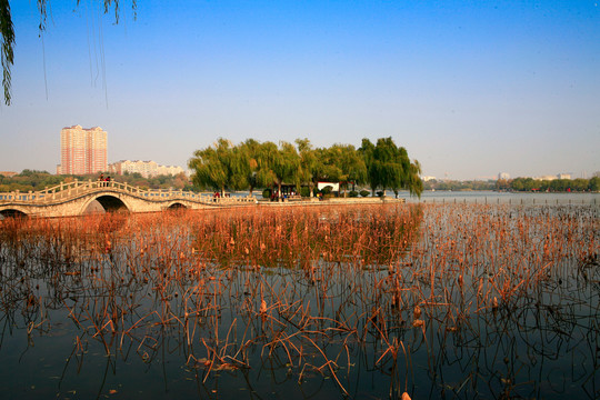 大明湖風(fēng)光