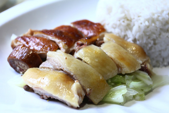 燒味雙拼飯