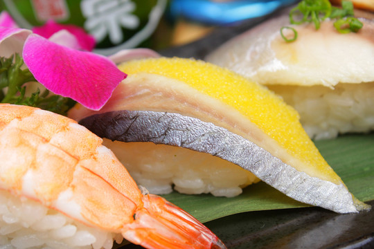 希鯪魚壽司